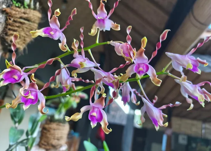 Gasthof Manuk Dewata