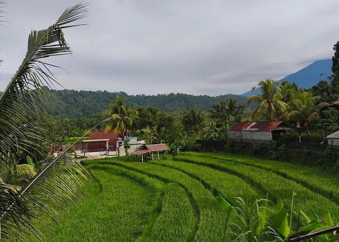 Manuk Dewata * Sidemen (Bali)